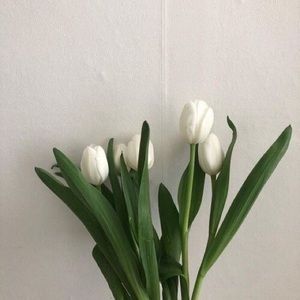 Meet your Posher, Wafa